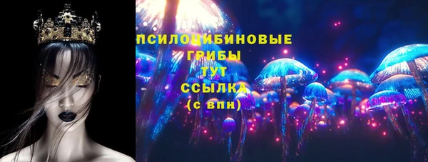 индика Касимов