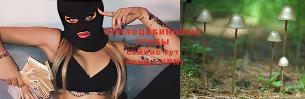 индика Касимов