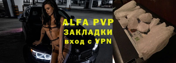 индика Касимов