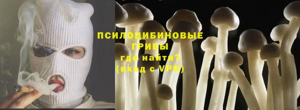 индика Касимов
