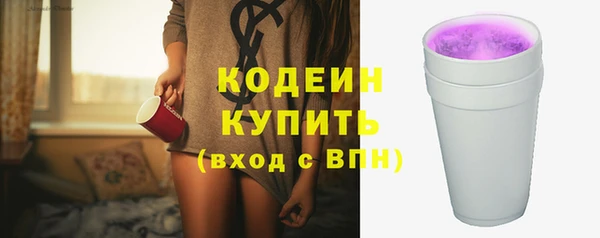 индика Касимов