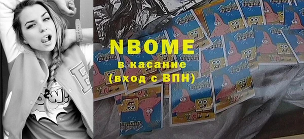 индика Касимов