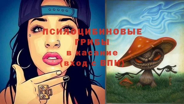метадон Карпинск
