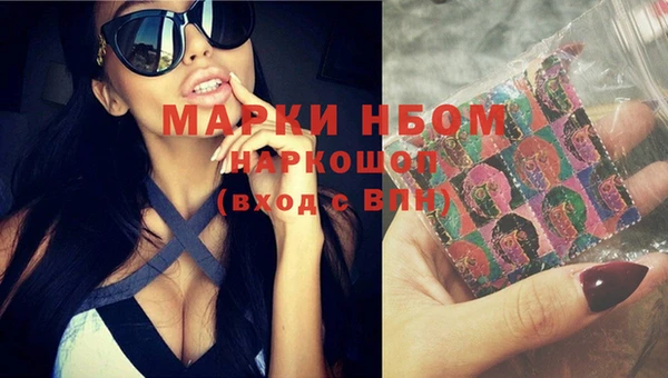 индика Касимов