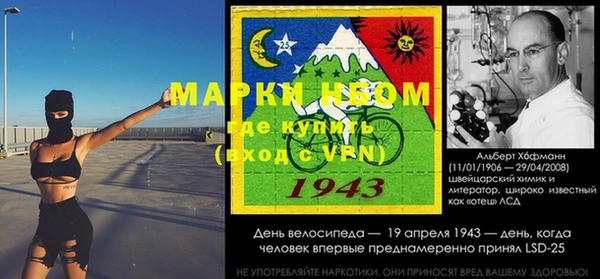 ГАЛЛЮЦИНОГЕННЫЕ ГРИБЫ Карталы