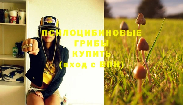 метадон Карпинск