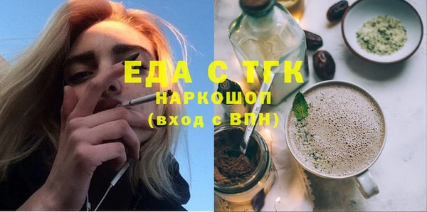 индика Касимов