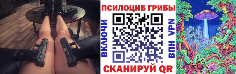 Псилоцибиновые грибы Cubensis  Бердск 